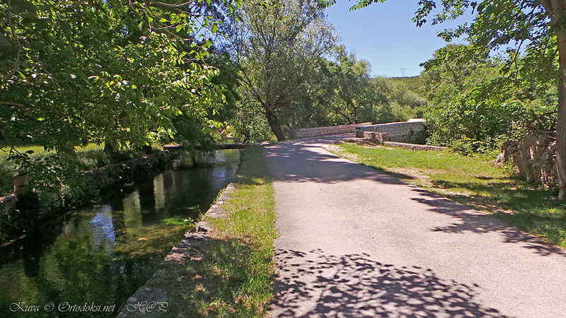 Tiedosto:Krupa06 hap.jpg