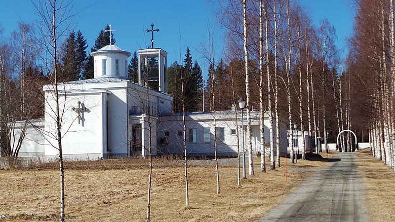 Tiedosto:Lintula 090414 hap.jpg