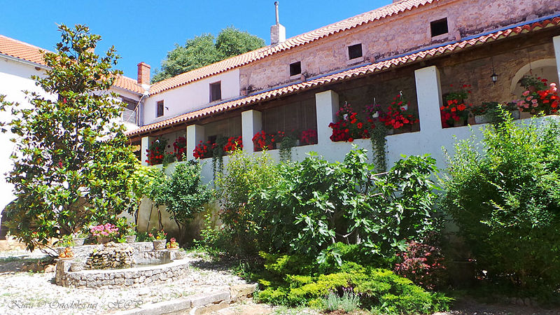 Tiedosto:Krupa02 hap.jpg