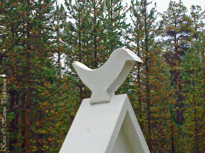 Tiedosto:Sevettihm 08 2011 hap.jpg