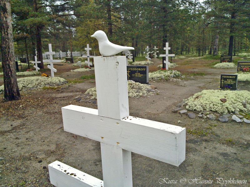 Tiedosto:Sevettihm 05 2011 hap.jpg