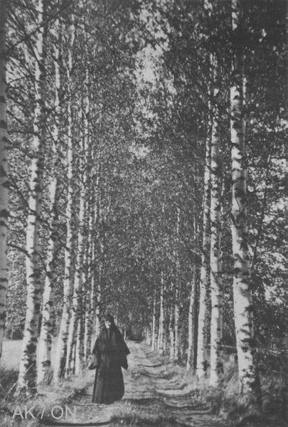 Tiedosto:Lintulan nunna ak.jpg