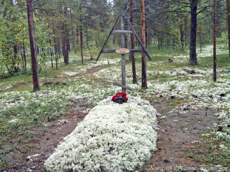 Tiedosto:Sevettihm 09 2011 hap.jpg