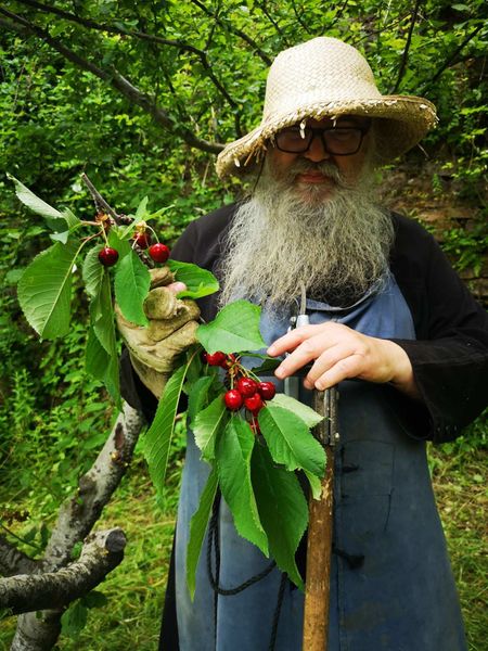 Tiedosto:25 athos il.jpg