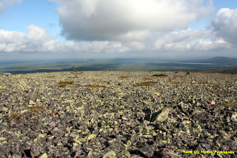 Tiedosto:Rakka 01 HAP.jpg