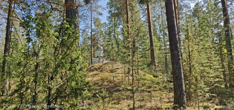 Tiedosto:Skiittasaari 12b hap.jpg