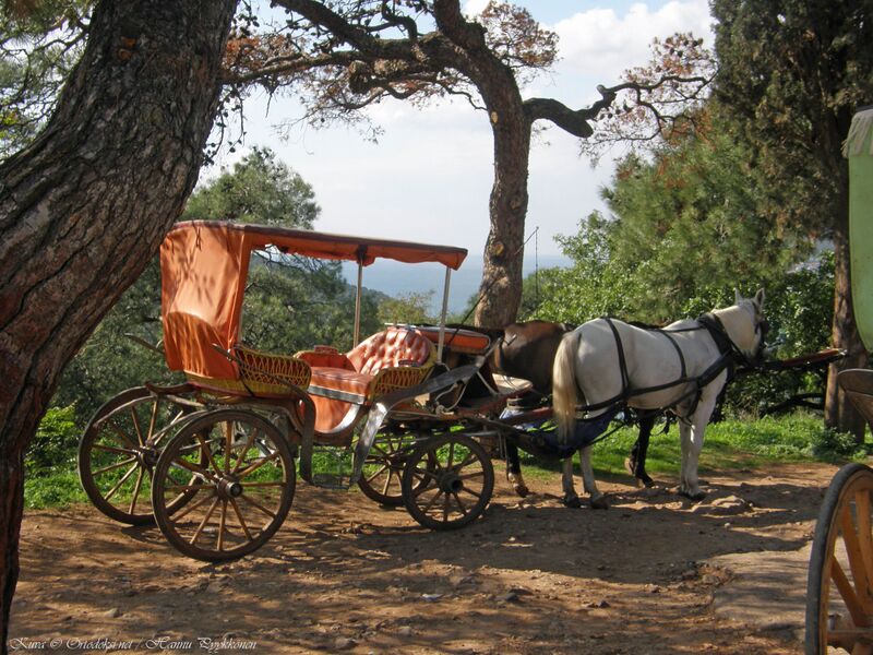 Tiedosto:02 halki knopoli hap.jpg