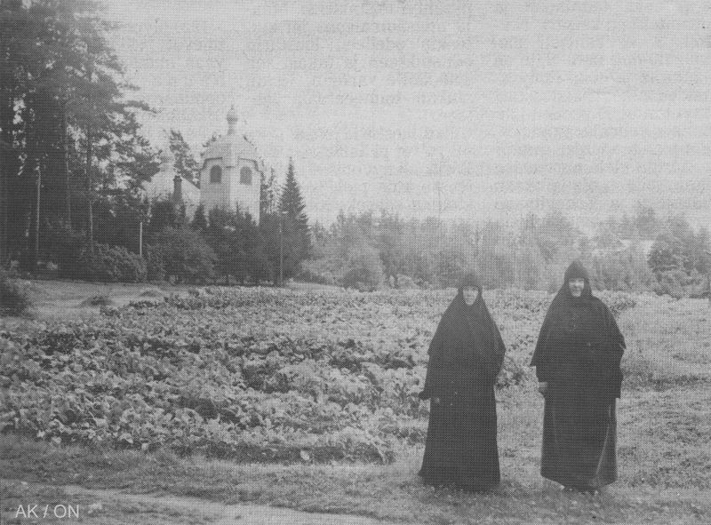 Tiedosto:Arsenia johanna lintula ak.jpg