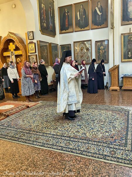 Tiedosto:03 Rafael papiksi val 0990225.jpg