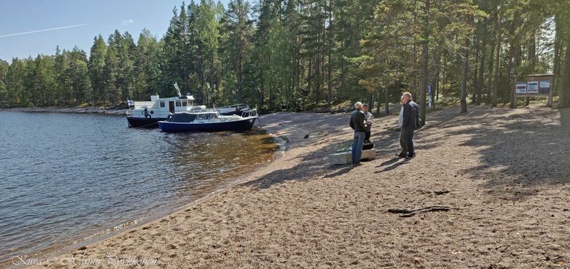 Tiedosto:Skiittasaari 18 hap.jpg