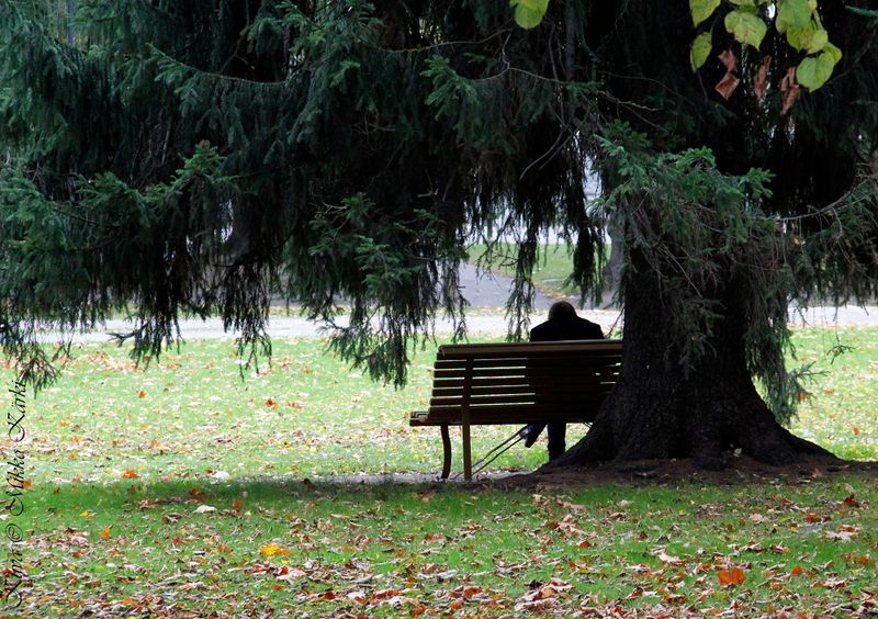 Tiedosto:Mies puistossa mk.jpg