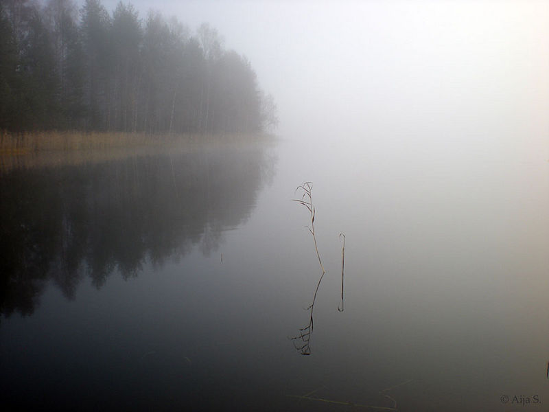 Tiedosto:Rukous09 as.jpg